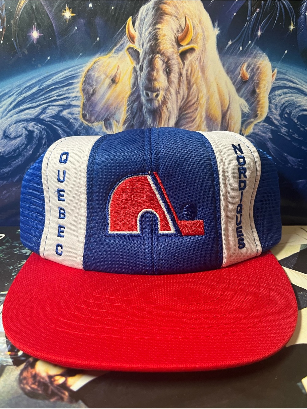 Vintage 80s QuΓ©bec Nordiques NHL hockey trucker snapback hat cap